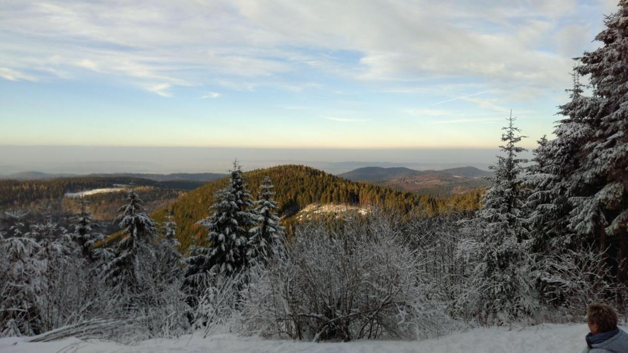 Luxus-Fewo-Kleine-Auszeit-Kinder-U-Hundefreundlich Daire Goslar Dış mekan fotoğraf